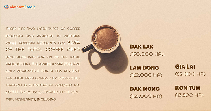 Development history of Vietnam's coffee industry